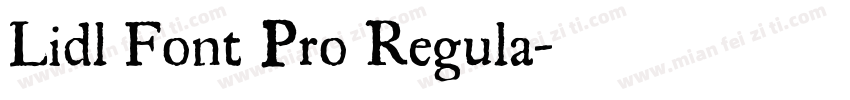 Lidl Font Pro Regula字体转换